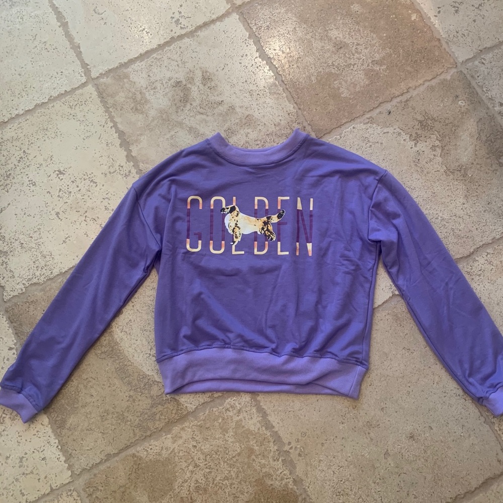 Golden retriever purple sweatshirt.
